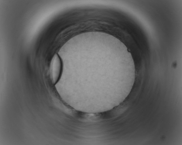 X0000115680239200912241447