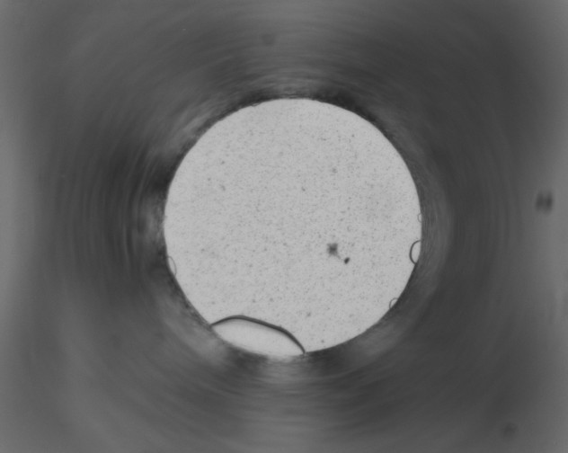 X0000115680240200912241447