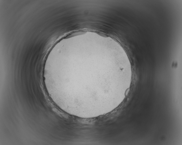 X0000115680241200912241446