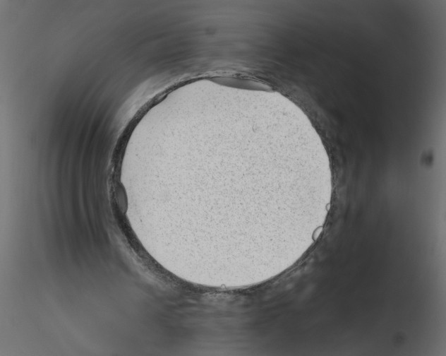 X0000115680242200912241446
