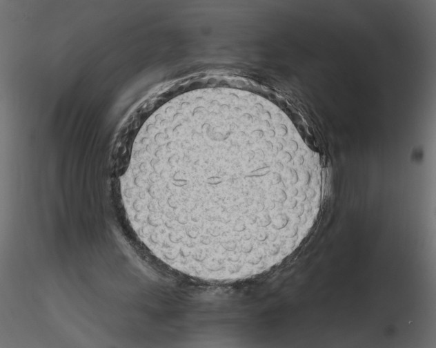 X0000115680243200912241446