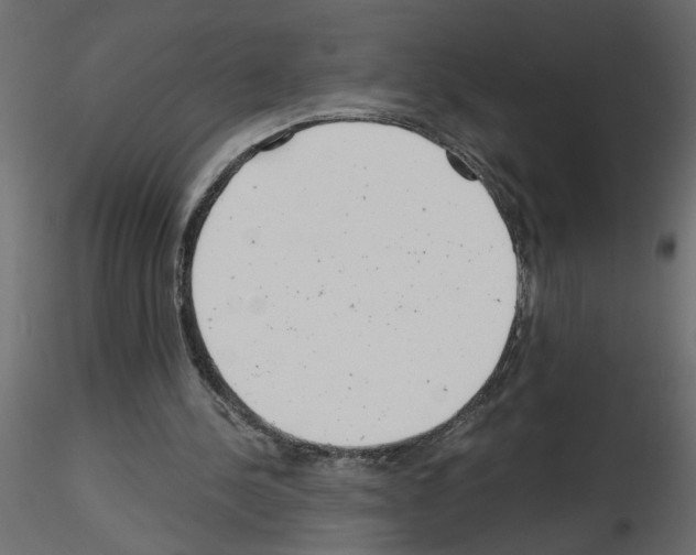 X0000115680244200912241446