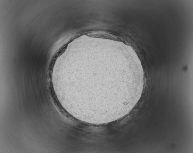 X0000115680245200912241446