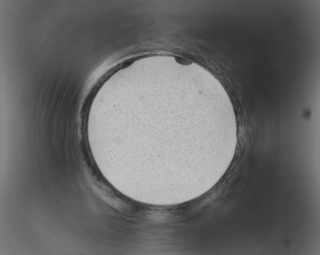 X0000115680246200912241446