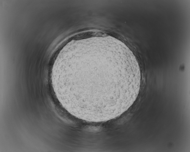 X0000115680247200912241446