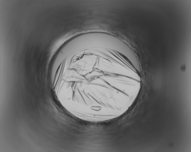 X0000115680248200912241446