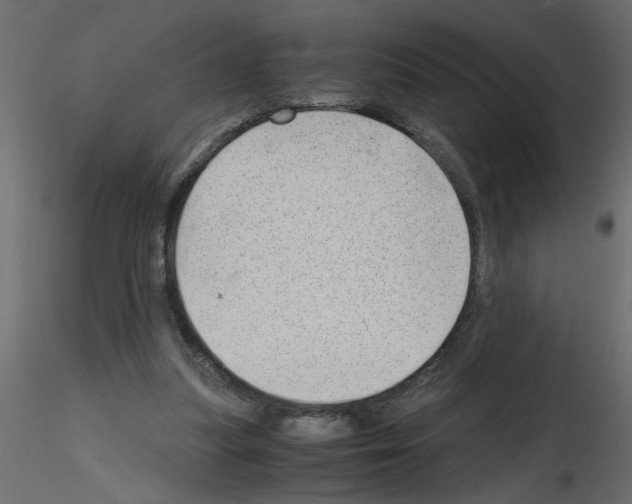 X0000115680251200912241446