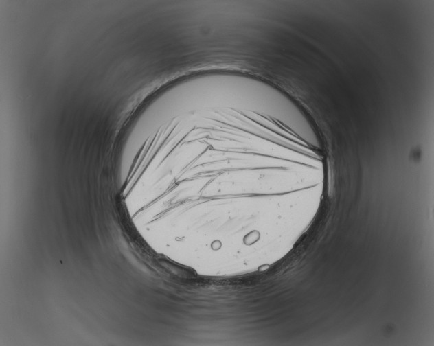 X0000115680252200912241446
