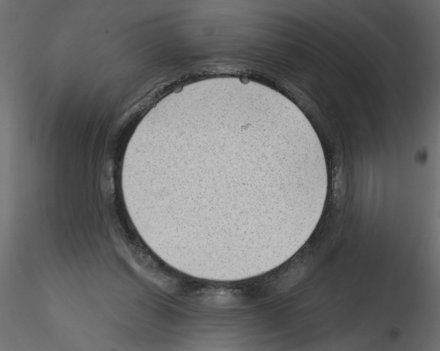 X0000115680254200912241446