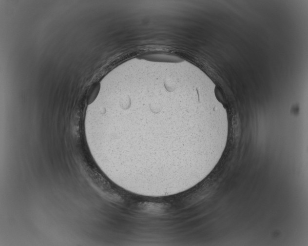 X0000115680255200912241446