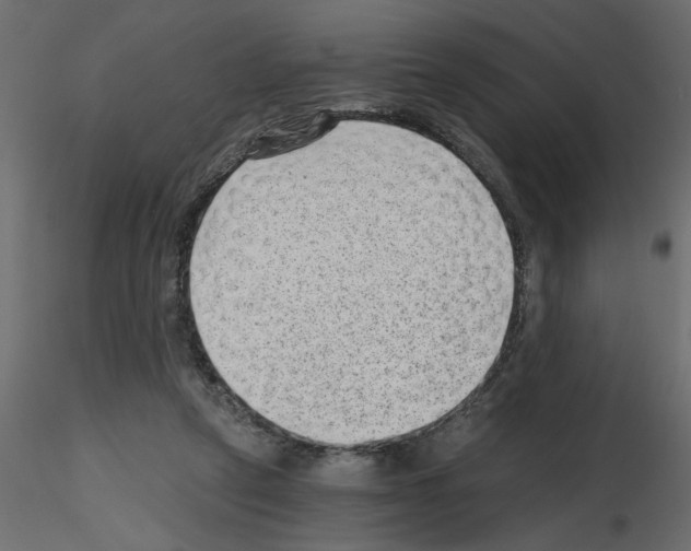 X0000115680257200912241446
