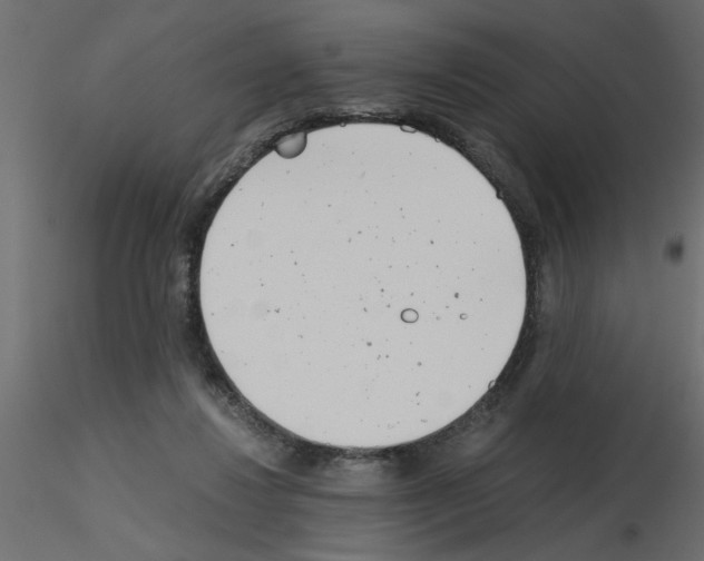 X0000115680260200912241447