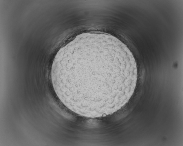 X0000115680261200912241447
