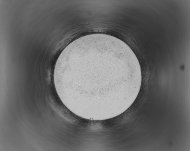 X0000115680262200912241447