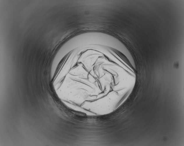 X0000115680264200912241447