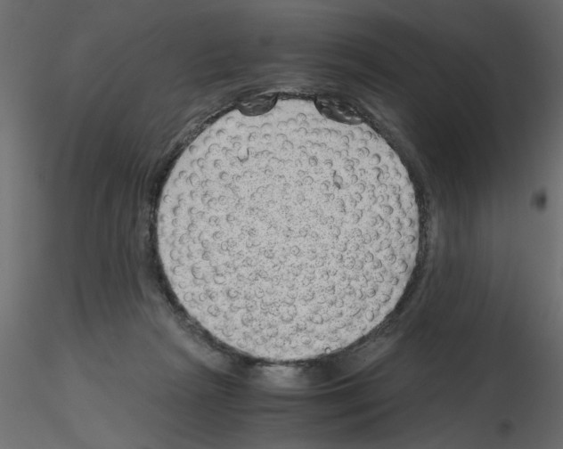 X0000115680265200912241447