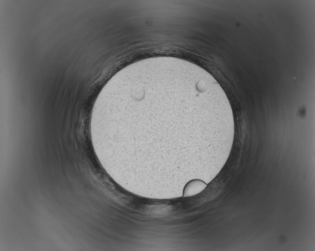 X0000115680266200912241447