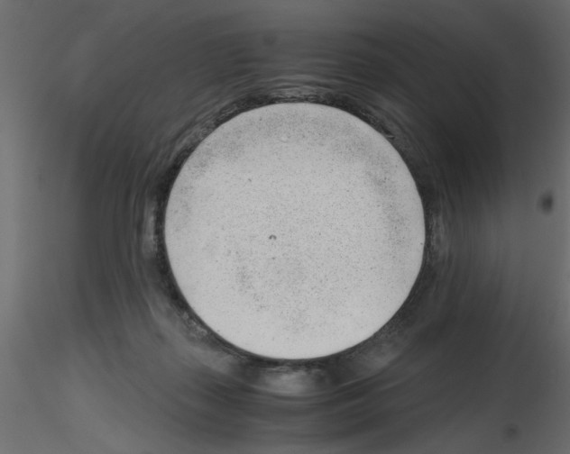 X0000115680267200912241447