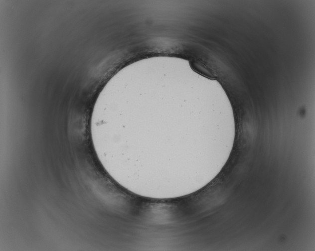 X0000115680268200912241447