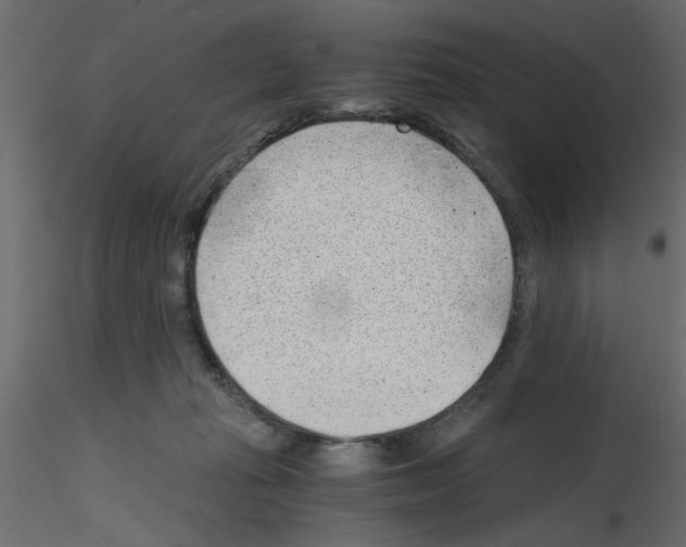 X0000115680269200912241447
