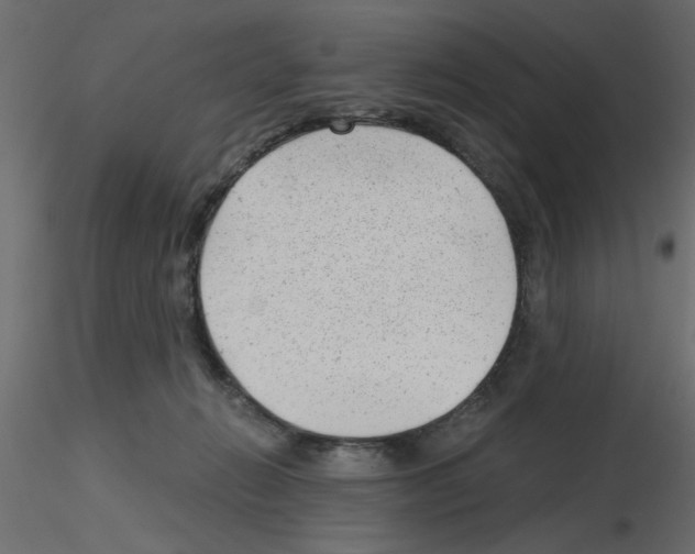 X0000115680270200912241447
