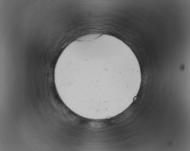 X0000115680272200912241447
