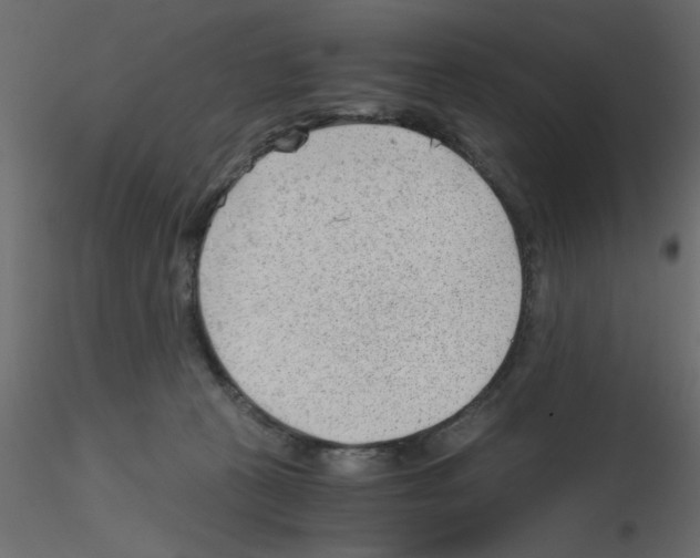 X0000115680273200912241447