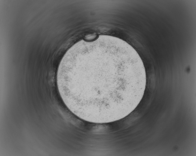 X0000115680274200912241447