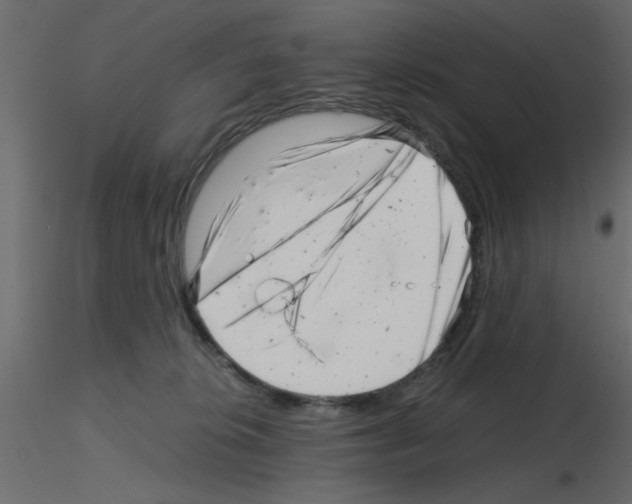 X0000115680276200912241447