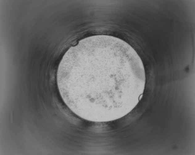 X0000115680278200912241447