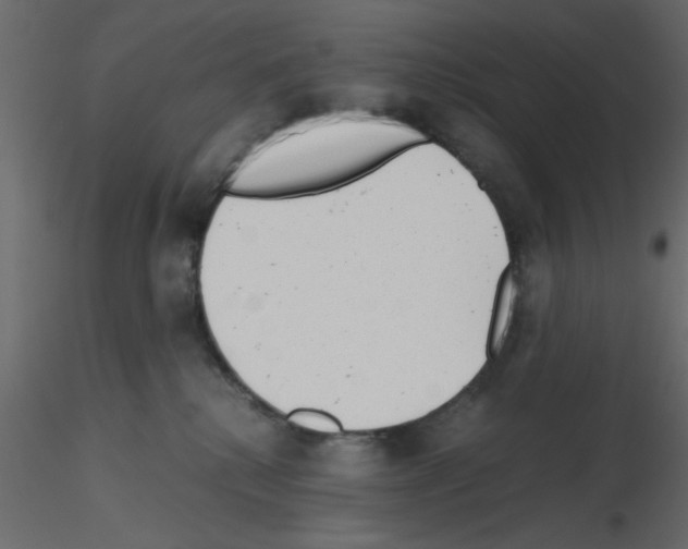 X0000115680280200912241447