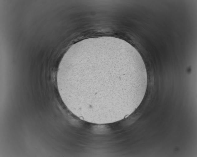 X0000115680281200912241447