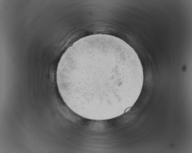 X0000115680282200912241447