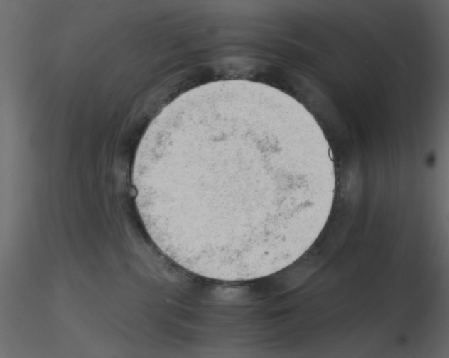 X0000115680283200912241447