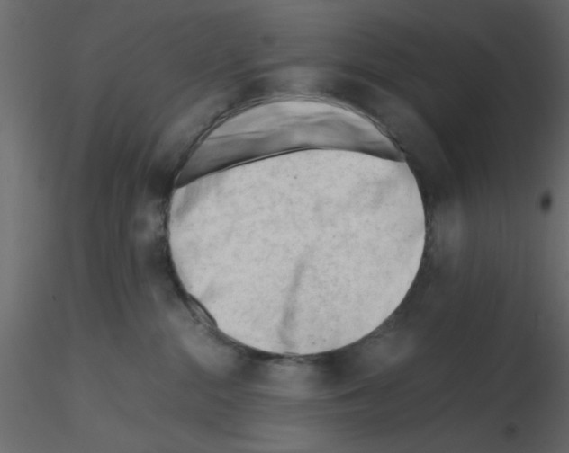 X0000115680284200912241447