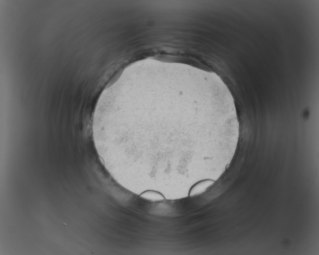 X0000115680285200912241447