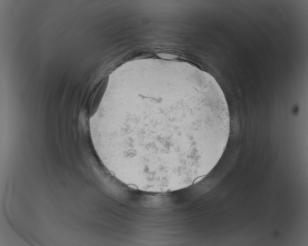 X0000115680286200912241447