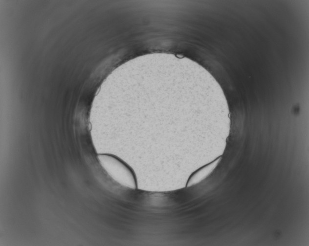 X0000115680287200912241447
