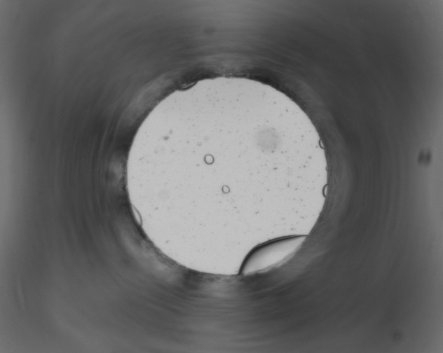 X0000115680288200912241447