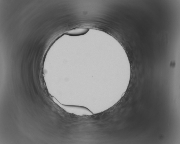 X0000115680289200912241446
