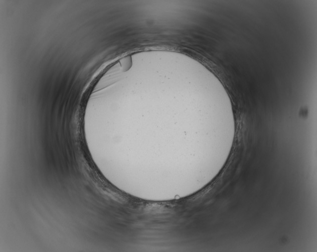 X0000115680290200912241446