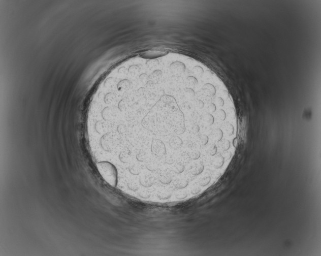 X0000115680291200912241446