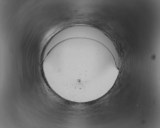 X0000115680293200912241446