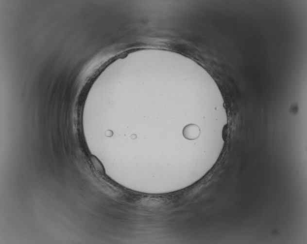 X0000115680294200912241446