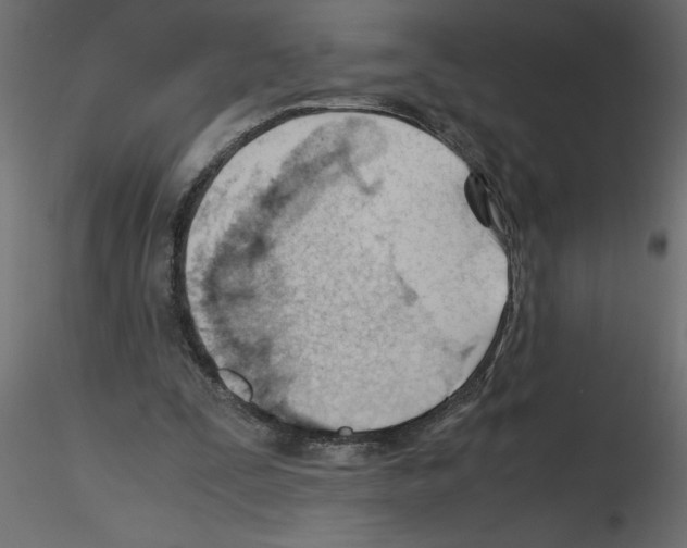 X0000115680295200912241446