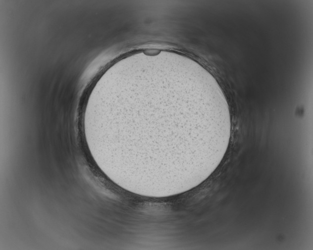 X0000115680296200912241446