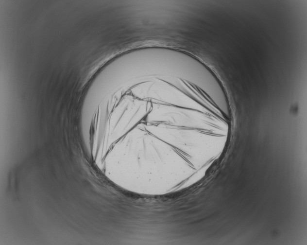 X0000115680297200912241446