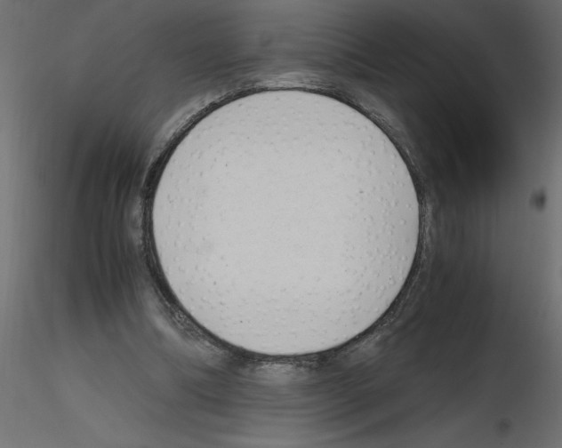 X0000115680298200912241446