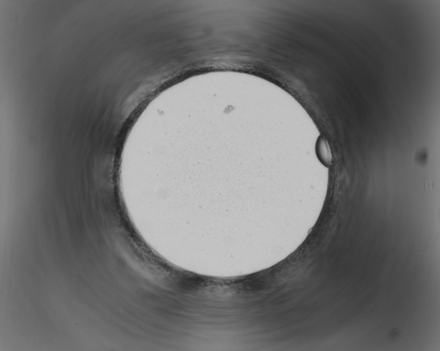 X0000115680299200912241446