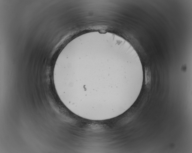 X0000115680300200912241446